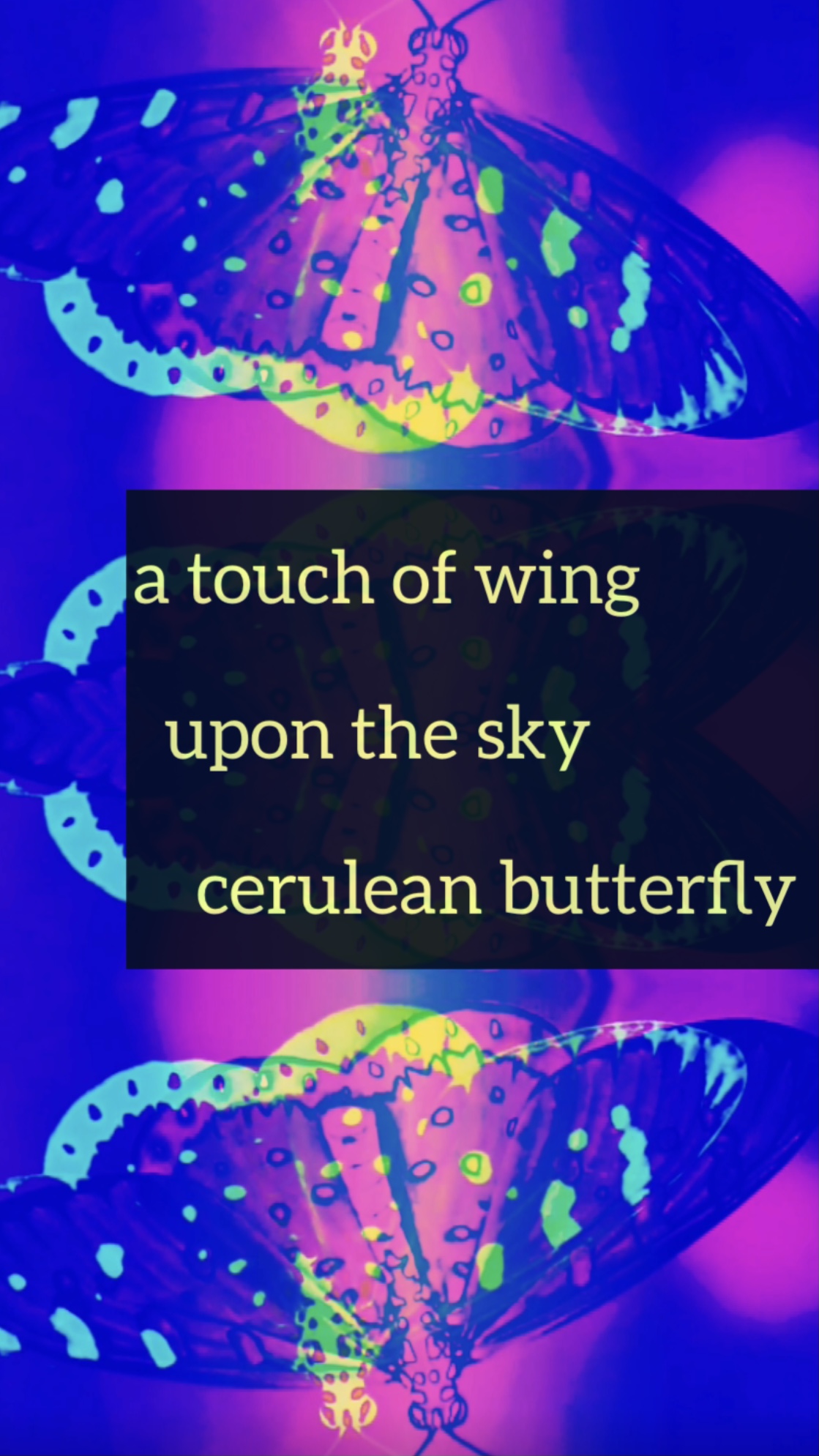 A Touch of Wing: Lyrics for Unsung Songs: a poem by Lesley Taylor